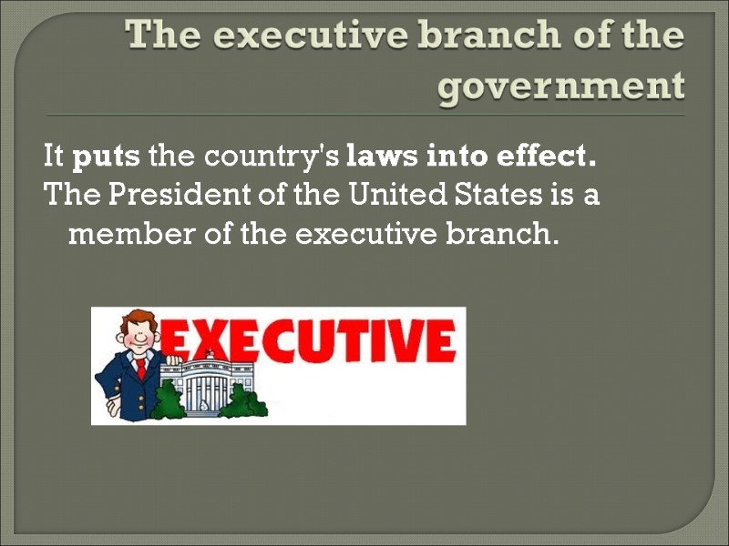 The executive branch of the government It puts the country's laws into effect. The